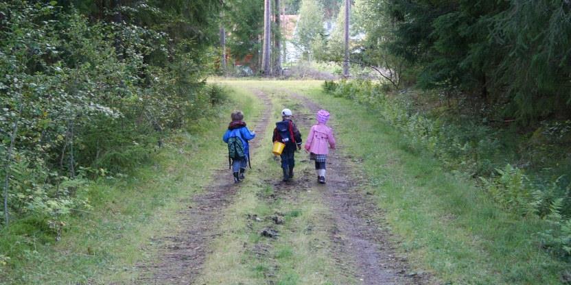 Bilde av tre barn som går på en skogsbilvei. Vi ser barna bakfra.