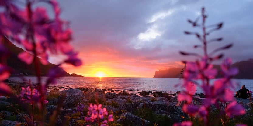 Mefjorden på Senja i midnattsol