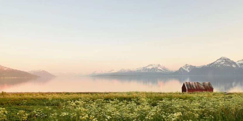 Fra Djupvik i Kåfjord, sommereng ut mot havet