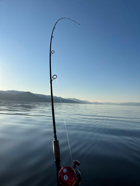 Bildet viser en bøyd fiskestang mot blikkstille hav, blå himmel, og landskap mot horisonten.