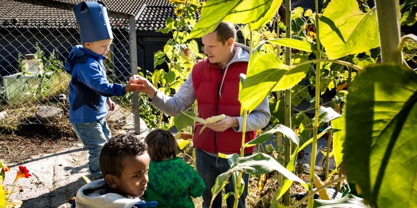 Tre barn står ved siden av en barnehaglærer i hagen utenfor barnehagen. Det er sol og en gutt med pappkrone på hodet får mais fra en maiskoble læreren nettopp har plukket.